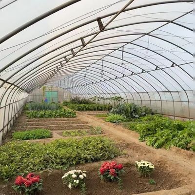 Invernadero de túnel para verduras y tomates Paquete Tamaño 50,00cm * 60,00cm * 50,00cm