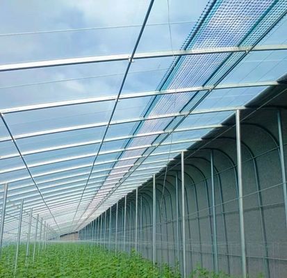 Origen Invernadero ecológico para tomate/capsicum/pepinos Estructura de acero y coste de envío