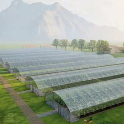 Invernadero comercial de pago completo para tomates y fresas en el túnel de tuberías de agua