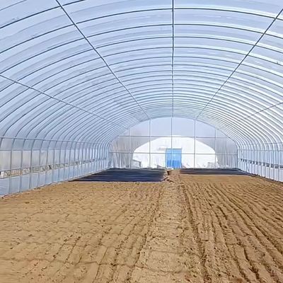 Tamaño del paquete 50,00cm * 60,00cm * 50,00cm Invernadero de túnel para agricultura y hortalizas