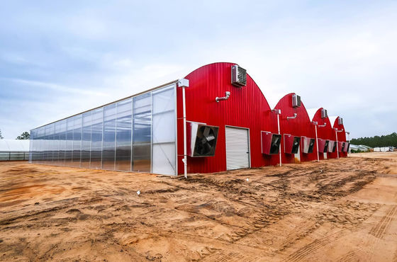 Acuacultura Estructura de acero Invernadero solar con colchoneta Persiana rodante y materiales
