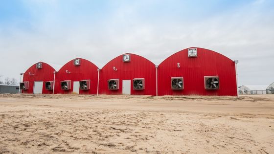 Acuacultura Estructura de acero Invernadero solar con colchoneta Persiana rodante y materiales