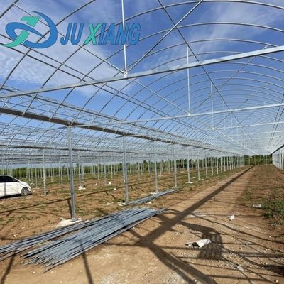 Sección H Diseño de invernaderos de estructura de acero personalizada para las necesidades del mercado estadounidense