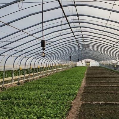 Comodidad de reembolso para nuestro innovador kit de invernadero de irrigación por goteo