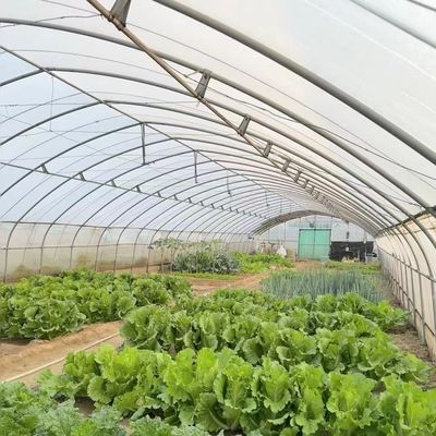 Comodidad de reembolso para nuestro innovador kit de invernadero de irrigación por goteo