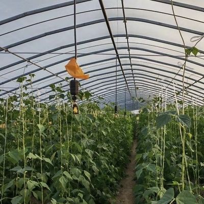 La agricultura durante toda la temporada se hace más fácil con el kit de invernadero de túnel grande y la cubierta de película