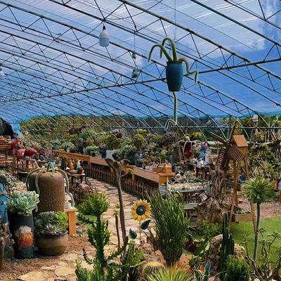 Invernadero hidropónico de origen chino a gran escala para el cultivo óptimo de cultivos