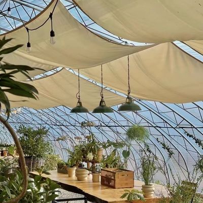 Invernadero hidropónico de origen chino a gran escala para el cultivo óptimo de cultivos