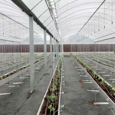 Invernadero de varias extensiones con hidroponía y muestras de película de plástico US 20/m2