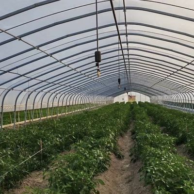 Invernadero de túnel de arco único grande JX-A00182 para la producción de vegetales durante todo el año