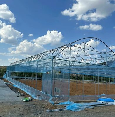 Invernadero de película de múltiples tramos para la agricultura vertical
