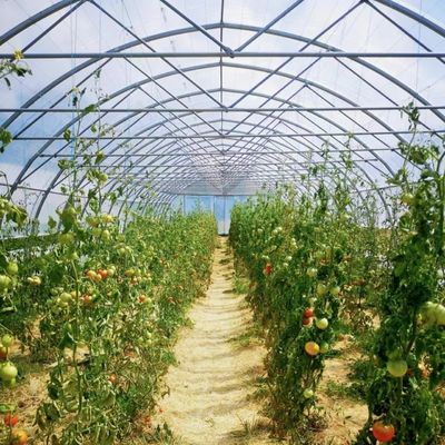 Sistema innovador de invernaderos de irrigación por goteo con 30 días de devolución