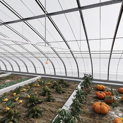 Sistema de cultivo hidropónico de invernadero con túnel de arco de múltiples tramos