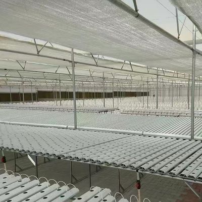 Sistema hidropónico de cultivo de vegetales en invernadero de múltiples tramos para estructura de acero 20.000kg