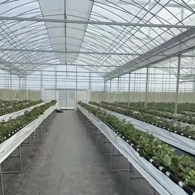 Sistema hidropónico de cultivo de vegetales en invernadero de múltiples tramos para estructura de acero 20.000kg