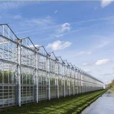 Invernadero de luz solar para la plantación de capsicum Método avanzado de cultivo de verduras
