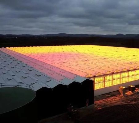 Producto de la planta de la planta de la planta de la planta