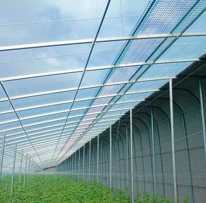 Producto de la planta de la planta de la planta de la planta