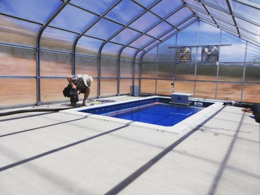 Producto de la planta de la planta de la planta de la planta