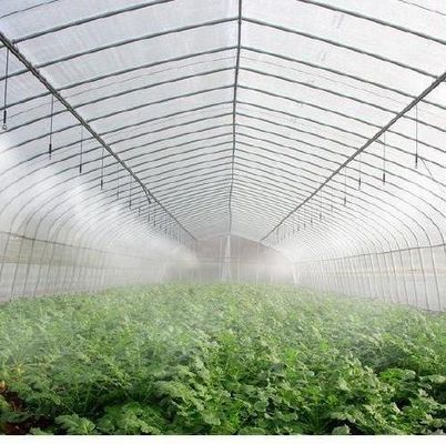 Invernadero de doble arco personalizado para verduras personalizado a sus necesidades