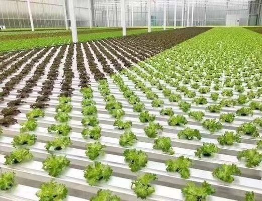 Invernadero de cultivo de hortalizas con vibrador de nieve Devolución de reembolsos en 30 días