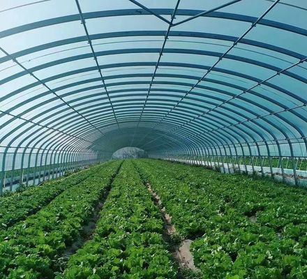 Invernadero de cultivo de hortalizas con vibrador de nieve Devolución de reembolsos en 30 días