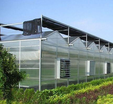 Pago inicial Vibrator de nieve Invernadero para la agricultura Método de calefacción sin calefacción