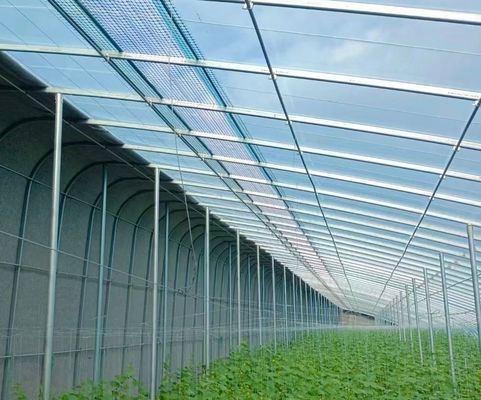 Pago inicial Vibrator de nieve Invernadero para la agricultura Método de calefacción sin calefacción