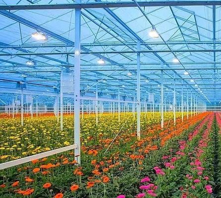 Pago inicial Vibrator de nieve Invernadero para la agricultura Método de calefacción sin calefacción
