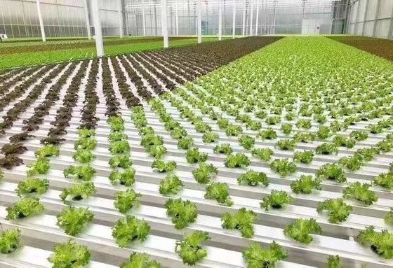 Pago inicial Vibrator de nieve Invernadero para la agricultura Método de calefacción sin calefacción