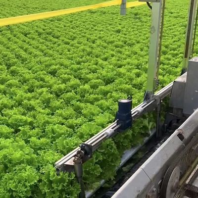 Agricultura Sistema de cultivo vertical con película de plástico de invernadero de múltiples estadios