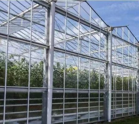 Invernadero de doble arco para cultivo de hongos