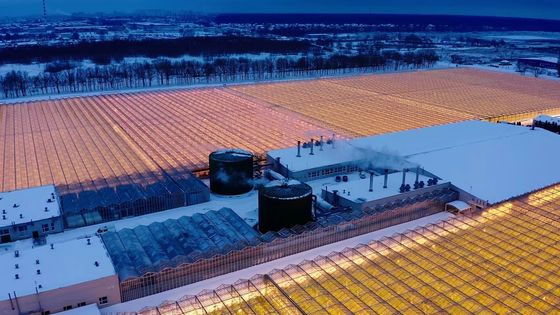 Arco de techo cultivo de hongos luz solar invernadero paquete peso bruto 1000.000kg