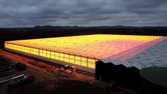 Arco de techo cultivo de hongos luz solar invernadero paquete peso bruto 1000.000kg