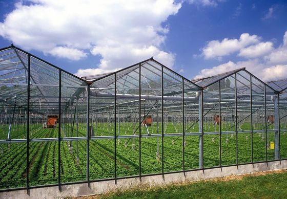 Arco de techo cultivo de hongos luz solar invernadero paquete peso bruto 1000.000kg