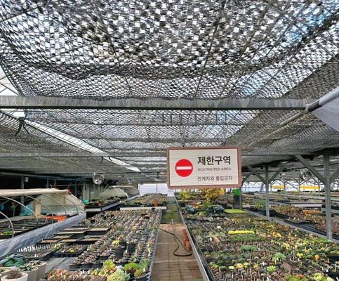 La mayoría de las plantas de la familia de las capsicum son cultivadas en zonas rurales.