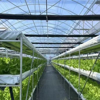 Kit de invernaderos comerciales de varias franjas con sistema de riego por goteo y tubería de PVC duradero