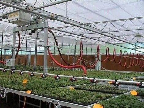 Origen Invernadero de doble arco de vigas para el capsicum Costo de envío y invernadero de producción