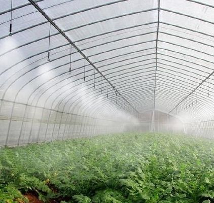 Personalización Vibrator de nieve Invernadero para la plantación de tomate Solicitar su personalización