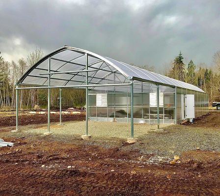 Single or Multi Span Customization Snow Vibrator Invernadero para la plantación de tomates de frutas