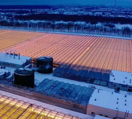Single or Multi Span Customization Snow Vibrator Invernadero para la plantación de tomates de frutas