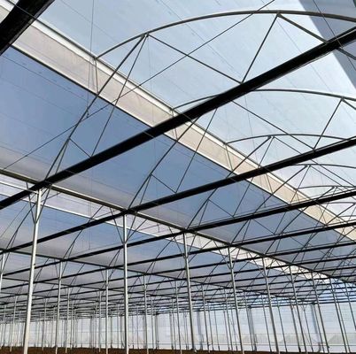 Single or Multi Span Customization Snow Vibrator Invernadero para la plantación de tomates de frutas