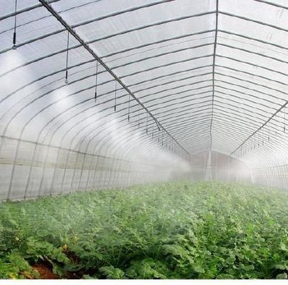 Invernadero de diseño de doble arco de acero y plástico para vegetales