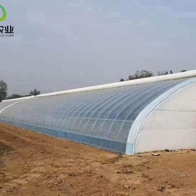 20GP 40GP 40HC Agricultura moderna Invernadero con luz solar para la plantación de verduras