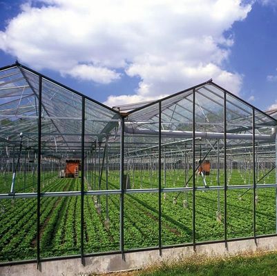 Invernadero con doble capa de luz solar moderna personalizada para los requisitos de plantación de hongos