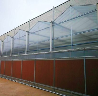 Invernadero con doble capa de luz solar moderna personalizada para los requisitos de plantación de hongos