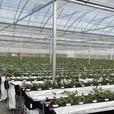 Materiales de construcción duraderos Invernadero de película de múltiples tramos con estructura de acero