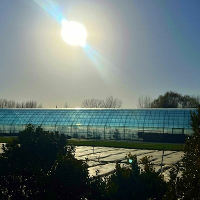 Invernadero inteligente de doble capa agrícola con red a prueba de insectos