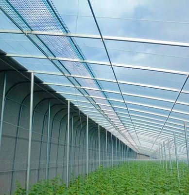 Invernadero inteligente de doble capa agrícola con red a prueba de insectos