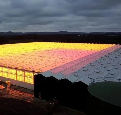 Invernadero inteligente de doble capa agrícola con red a prueba de insectos